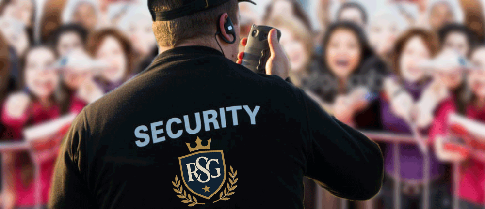 Royal Sentinel officer securing an active crowd